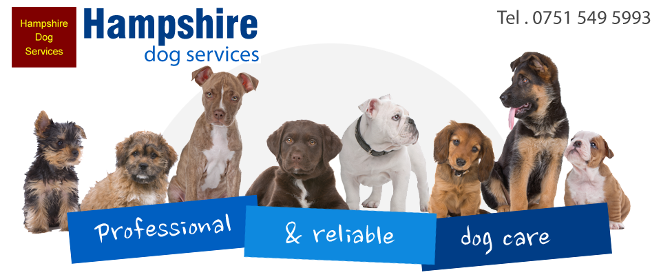 Hampshire Dog Services